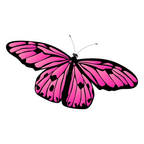 Detailed pink butterfly vector butterfly - Transparent PNG & SVG vector
