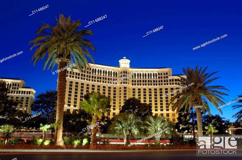Bellagio Hotel Night Showing Main Road And Illuminated Palm Trees Las