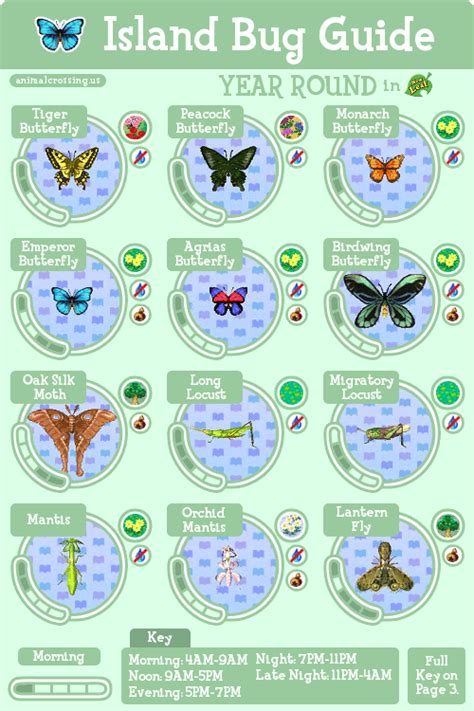 Animal Crossing New Leaf Island Bug Guide