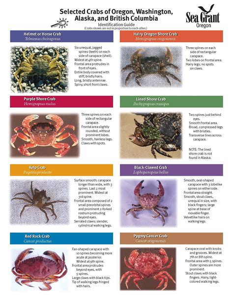 Types Of Crabs List