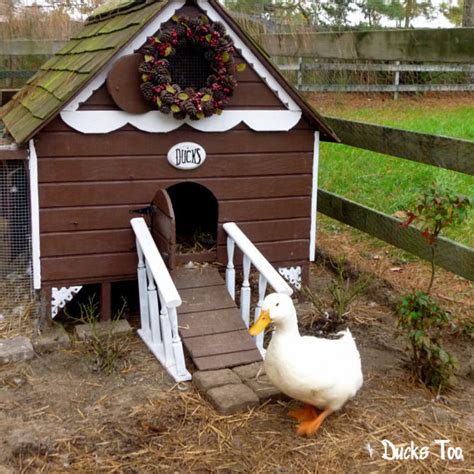 Plans for duck run/coop / deep litter the best method for a duck and chicken run life is just ducky byauthor juli 22, 2021. 37 Free DIY Duck House / Coop Plans & Ideas that You Can ...