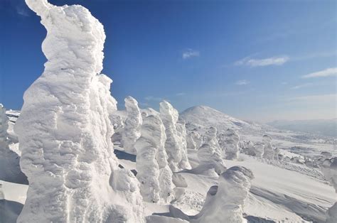 Sho Shibata Captures The Beastly Snow Covered Trees Of Japans Hakkōda