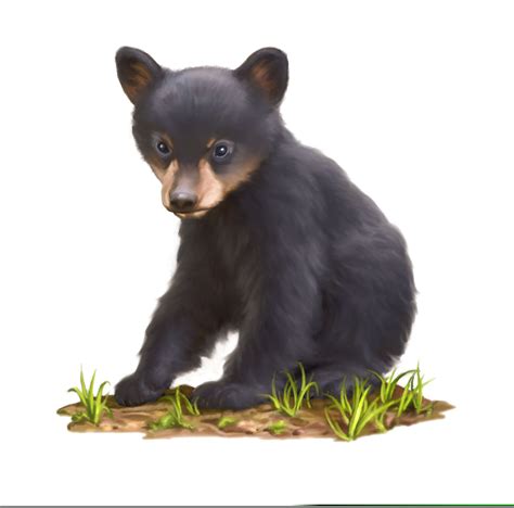 Black Bear Cub Clipart Free Images At Vector Clip Art