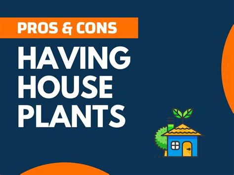 23 Pros And Cons Of Having House Plants Explained Thenextfind