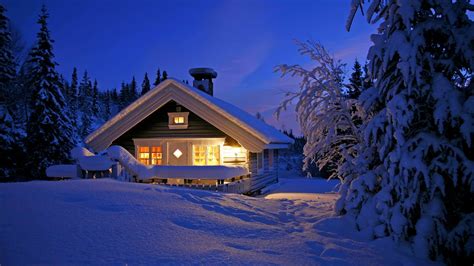 Winter Hütte Hintergrundbilder Winter Hutte Baume Schnee 1242x2688
