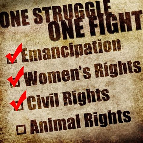 10 Interesting Animal Rights Facts | My Interesting Facts