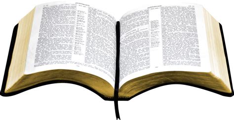 open bible PNG png image