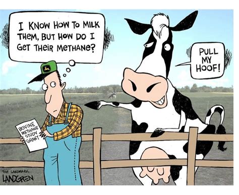 Pin By Mystral Rose On Misc Pics In 2020 Funny Cartoons Jokes Funny Cow Pictures Cows Funny