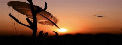 Photographed by xavi gordo (8 artist gypsy style boho gypsy hippie boho my style folk fashion fashion brand spell designs cute rompers pretty photos. Beautiful Bird Boho Branch Facebook Covers | Photo de ...
