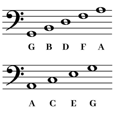 Bass Clef Note Chart Pdf Printable