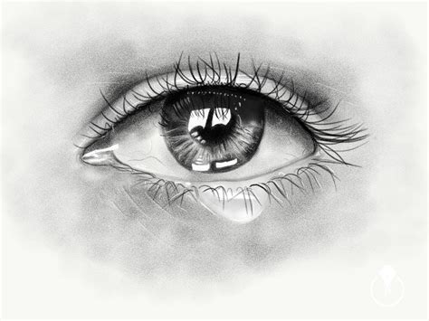 Adobe Photoshop Drawing Apps / Crop, combine, retouch, and restore