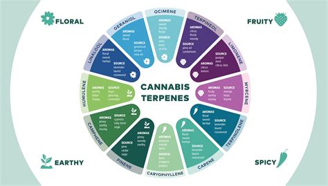 Strain Library Ma Cannabis Dispensary The Pass