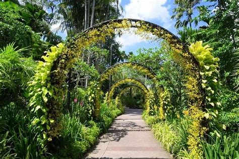 Singapore Botanic Gardens Entrance Fee Fasci Garden