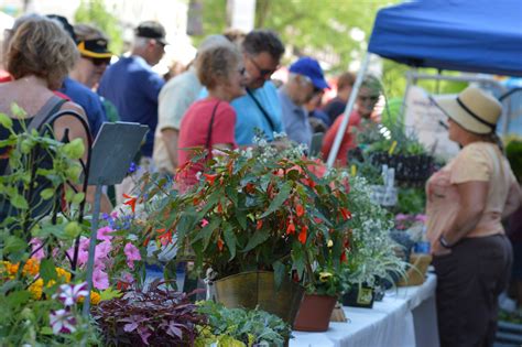 Pierson's flower shop & greenhouses delivers flowers in cedar rapids and eastern iowa. Hot markets: Lion Bridge and Downtown Cedar Rapids draw ...