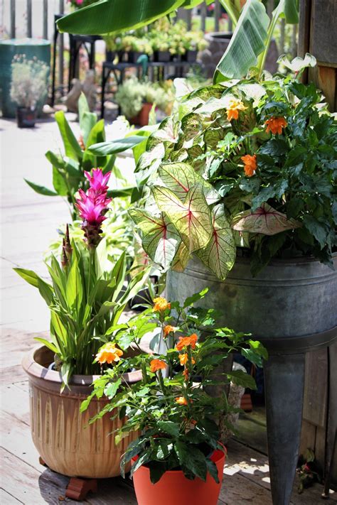 Discover sightseeing or tour deals in and near savannah, ga and save up to 70% off. Plant Nursery | Savannah, GA | Savannah's Secret Gardens