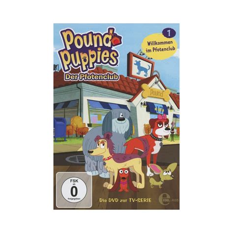 Pound puppies was a popular toy line sold by tonka in the 1980s.123456 it later inspired an animated tv special, two animated tv. International DVDs | Pound Puppies 2010 Wiki | FANDOM powered by Wikia