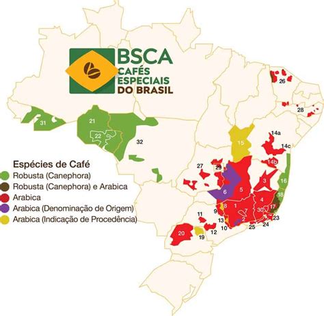 Brazilian Coffee Guide Beans Regions Flavor Worlds Largest