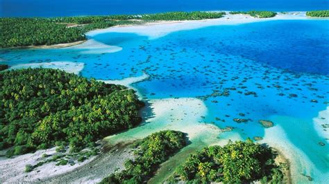 Blue Lagoon Rangiroa French Polynesia Ultimate Guide May 2024