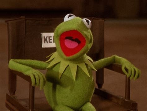 Kermit The Frog Through The Years Muppet Wiki