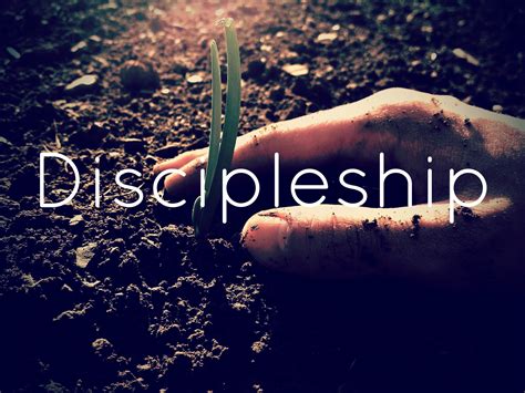 Quotes On Discipleship And Faithfully Obeying Jesus Like Trees Planted