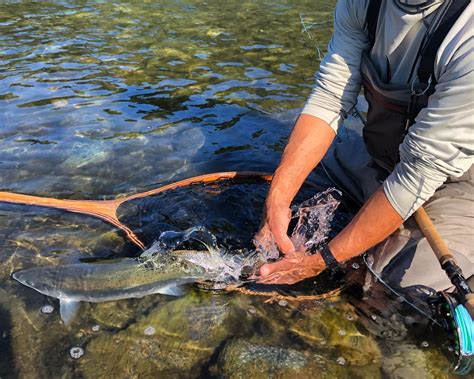 Klamath River Fishing —guided Salmon And Steelhead Fishing