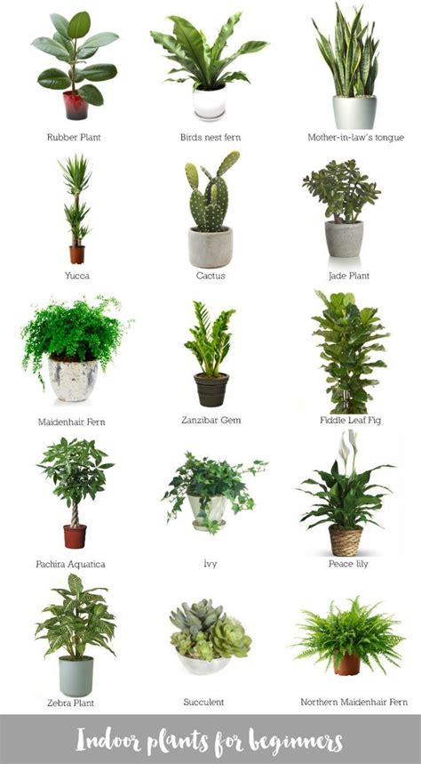 Best Office Desk Plants Country Home Office Furniture Check More At