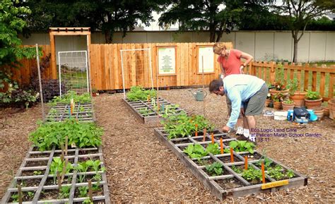 The Best Organic Gardening Tips Gardening