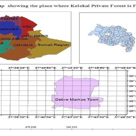 Pdf Plant Diversity Study On Kelekal Protected Forest In Debre Markos