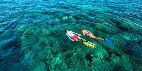 Glass Bottom Boat To Blue Bay Marine Park Mauritius Attractions