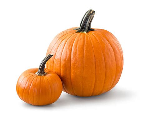 Pumpkin Stock Photos Pictures And Royalty Free Images Istock