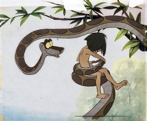 The Jungle Book Mowgli And Kaa Production Cel Setup Walt Disney 1967