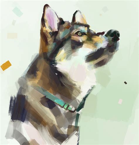 Dog Portrait Sketch In Procreate Rdigitalpainting