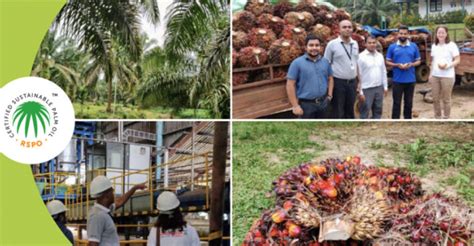 Watawala Plantations First To Achieve Rspo Pandc Certification In South