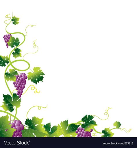 Download 9,444 grape free vectors. Grape vine Royalty Free Vector Image - VectorStock