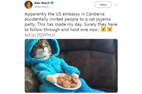 Us Embassy Wins Twitter Users Hearts With ‘cat Pajama Jam Invite