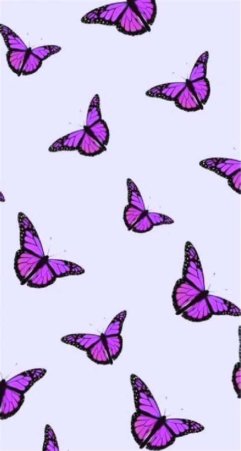 Pink Purple Wallpaper Iphone Butterfly Images Download Free Mock Up