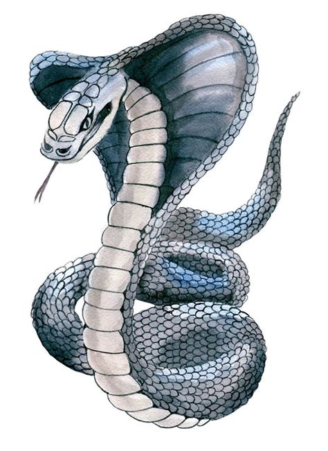 Watercolor Illustration Of Cobra Snake Stock Illustration