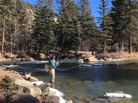 Winter Is One Of Our Favorite Times To Fly Fish In Colorado North