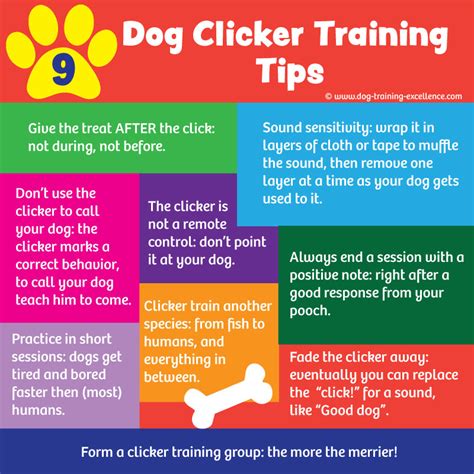23 Free Dog Clicker Training Tips For Best Results