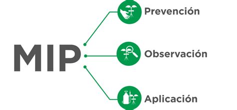 20 Libros De Manejo Integrado De Plagas MIP Pdf Descargar 2023