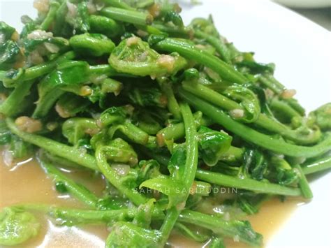 Dapurbujang pucuk paku goreng belacan. RESEPI PAKU UBAN GORENG BELACAN DARI SARAWAK - Dari Dapur ...