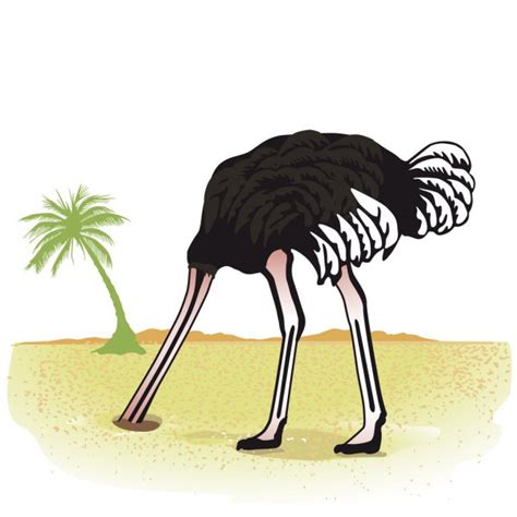 827 Ostrich Head Vector Images Free And Royalty Free Ostrich Head