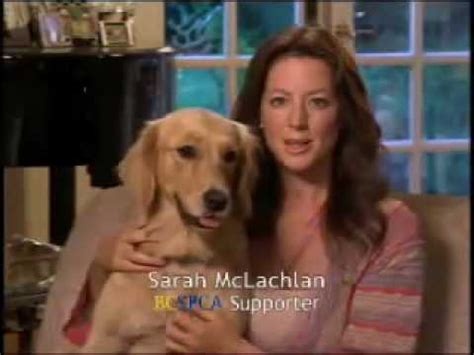 Aspca Sarah Mclachlan Commercial In The Arms Of An Angel Images