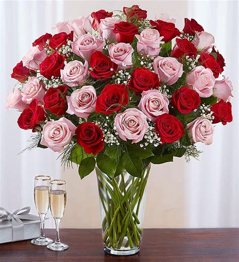 Ultimate Elegance™ Long Stem Pink And Red Roses 1800flowers 100276