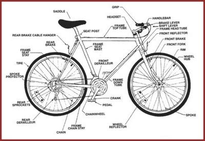 If you want to take on the trails, read our guide to find the right size mountain bike. Blogger | Espaço gourmet, Bike mtb