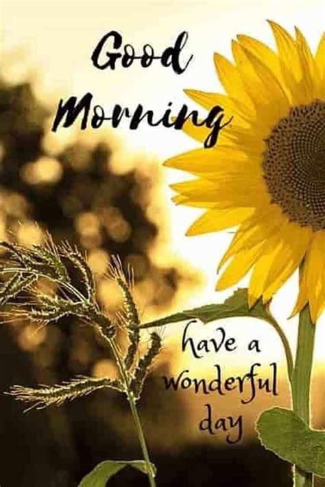 If the quotes above have you interested in finding out more about god, there are many places you can go for more information. Pin on Good morning