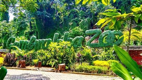 Gembira Loka Zoo Kebun Binatang Terlengkap Di Jogja - Sanjaya Tour