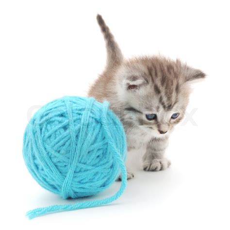 Small Funny Kitten And Clew Of Thread Stock Image