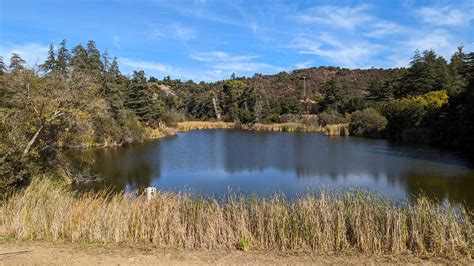Franklin Canyon Park Things To Do In Westside Los Angeles