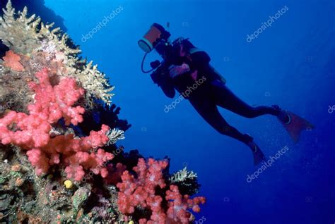 Diver and soft coral wall — Stock Photo © dsabo #5940539